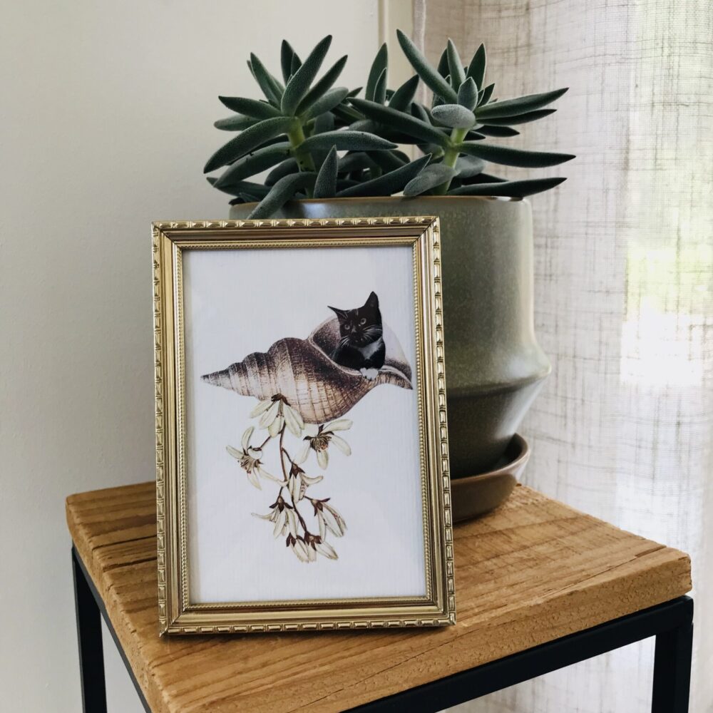 Pet Memorial Collage