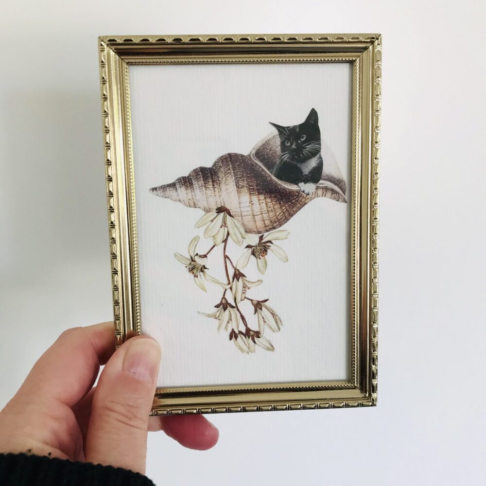 Pet Memorial Collage