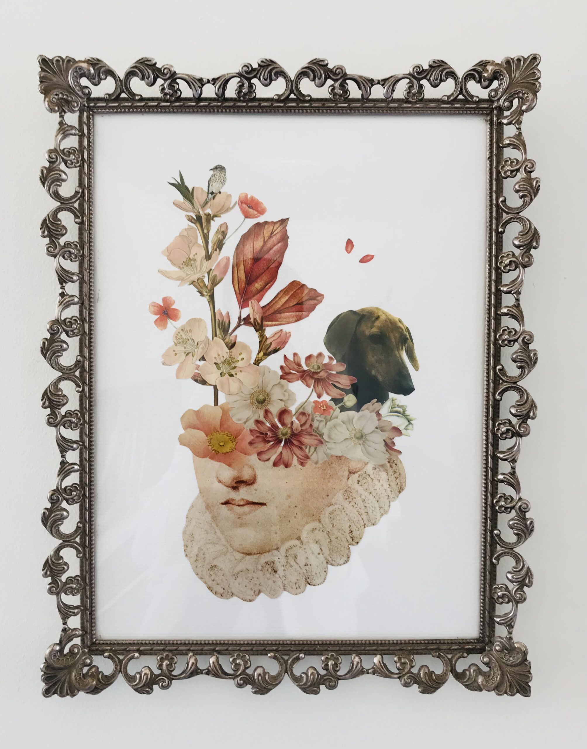 Pet Memorial Collage